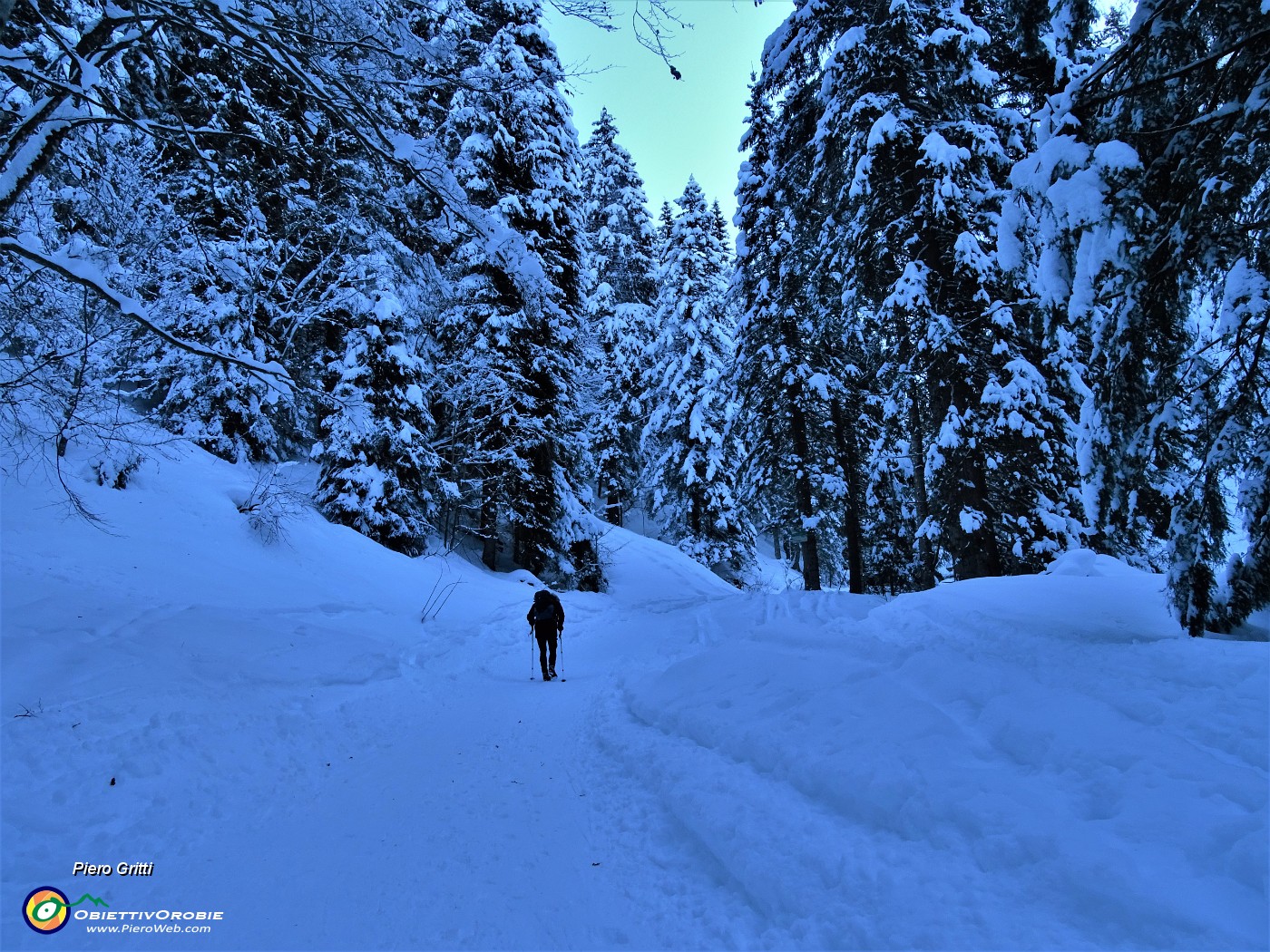 01 Salendo il sent. 121 da Piazzatorre (1100 m) per il Rif. Gremei (1550 m) in ombra e pestando neve battuta.JPG